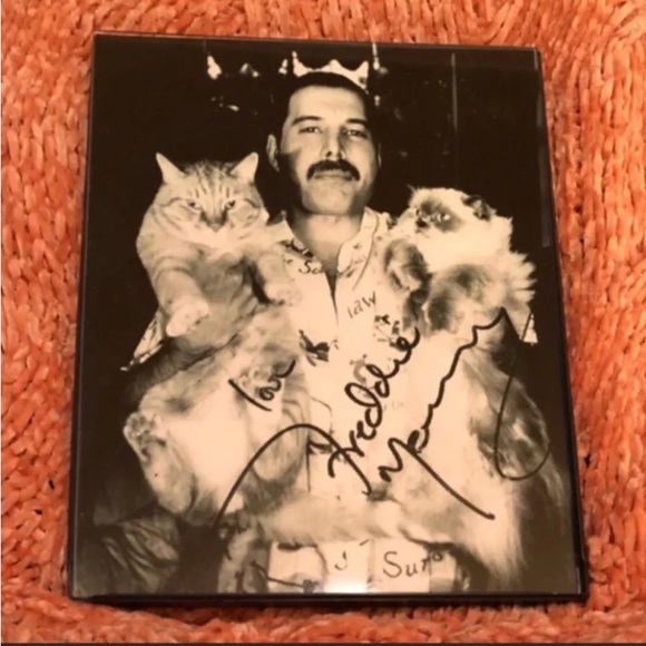 FREDDIE MERCURY 8X10 Framed Photo Autographed Reprint With Cats! - Picture 1 of 9